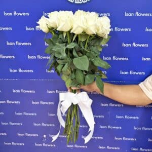 15-35 Big White Roses - Stems Only