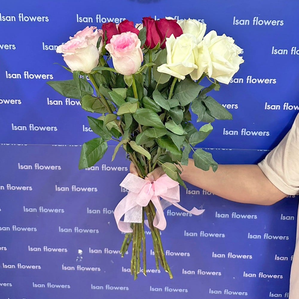 5 red 5 pink and 5 white big roses stems only