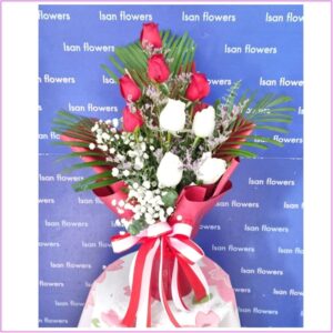 9-25 Big Red & White Roses in Red - Va-quet A