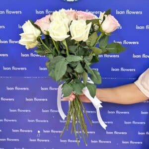 15-51 Big Pink & White Roses - Stems Only