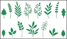 example filler shapes