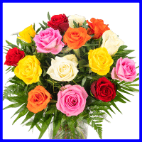 example mixed roses