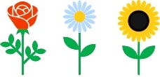 flower types image