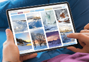 image search