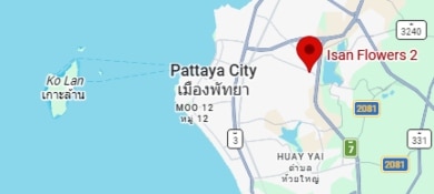 isanflowers2 shop in pattaya on google maps