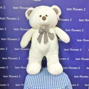 Large White Bear A Soft Toy