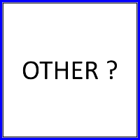 other flower or filler