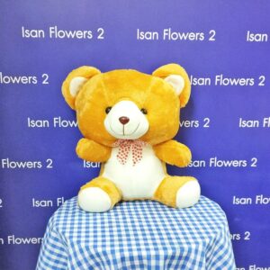 Small Brown & White Bear B Soft Toy