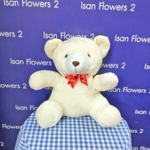 Small White Bear B Soft Toy