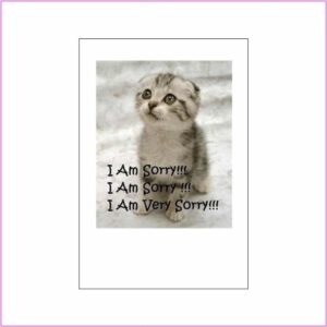 Sorry Card - Kitten